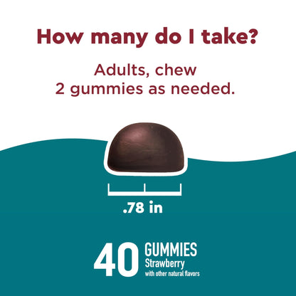 Nature Made Wellblends Stress Relief Gummies, L theanine 200mg to Help Reduce Stress, with GABA 100mg, Same Day Stress Support, 40 Strawberry Flavor Gummies - dailyvitalstore
