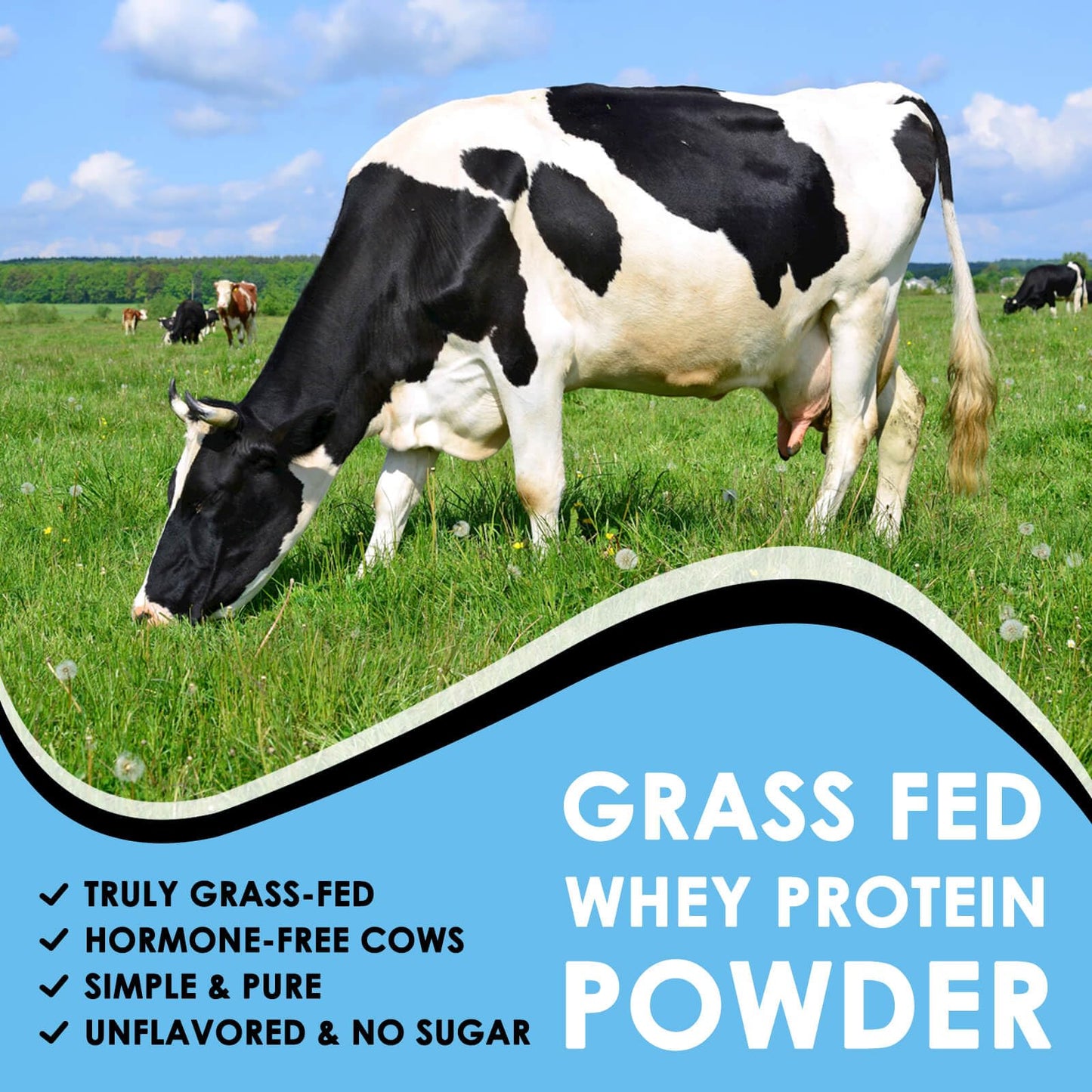 NATURE TARGET Unflavored Whey Protein Isolate - 26g Protein, 0g Sugar, Keto Friendly - No rBGH, Grass Fed - Perfect for Coffee, Baking & Smoothies - 1.10 LB (16 Servings) - dailyvitalstore