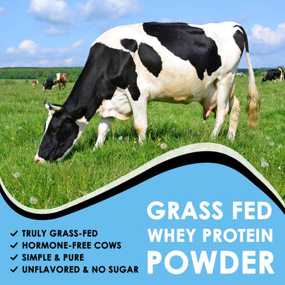 NATURE TARGET Unflavored Whey Protein Isolate - 26g Protein, 0g Sugar, Keto Friendly - No rBGH, Grass Fed - Perfect for Coffee, Baking & Smoothies - 1.10 LB (16 Servings) - dailyvitalstore