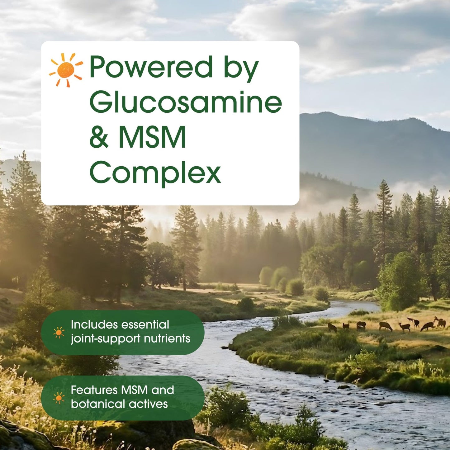 NatureBell Advanced Glucosamine Chondroitin & MSM - 240 Capsules - 10-in-1 Joint Support Complex* - Includes Hyaluronic Acid, Turmeric, Glucosamine, Collagen & More - dailyvitalstore