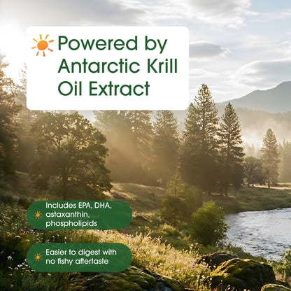 NatureBell Antarctic Krill Oil 1,000mg - 240 Softgels - Omega-3 Heart, Joint & Immune Health Support* - dailyvitalstore