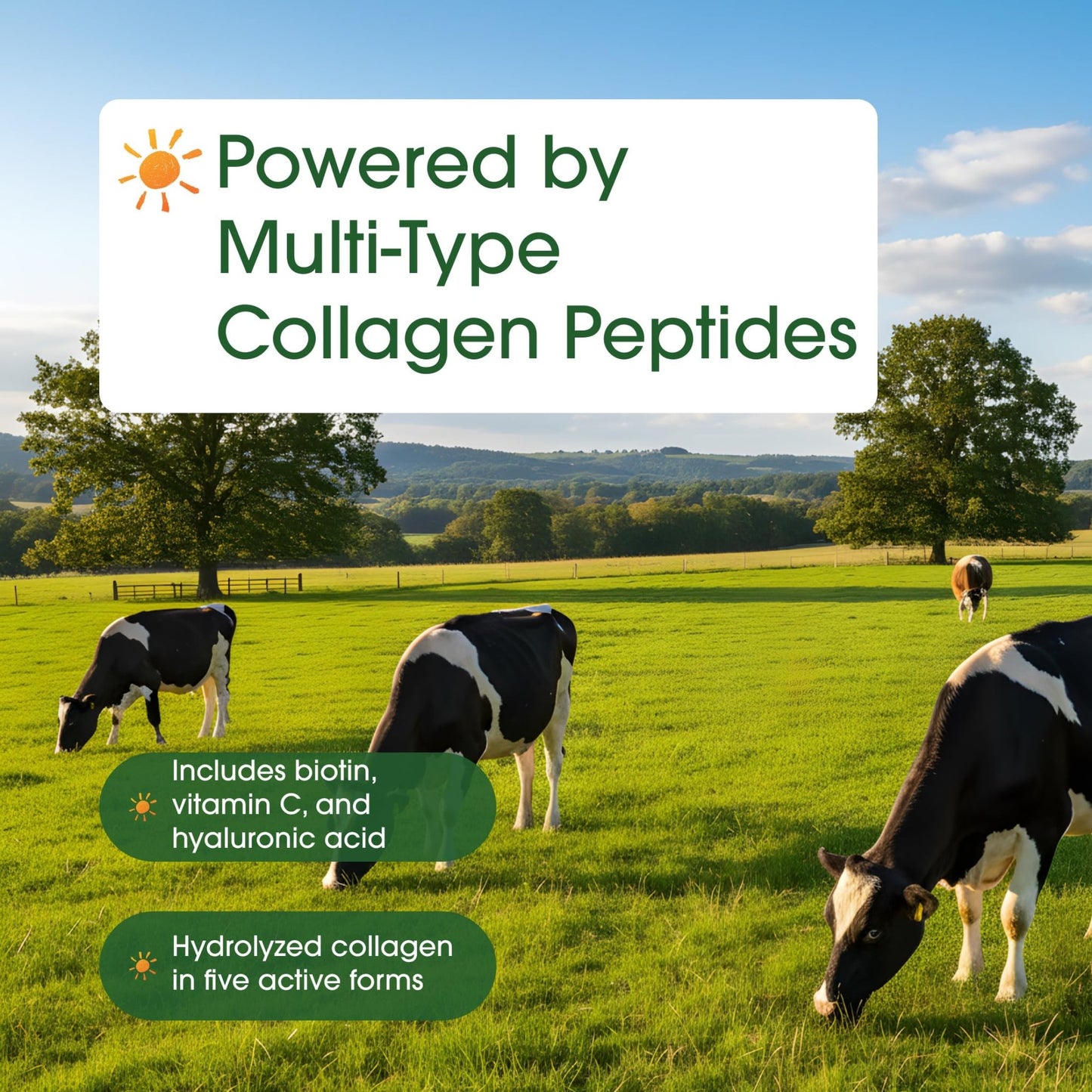 NatureBell Multi Collagen Protein Powder - 600g - Hydrolyzed Collagen Peptides - for Skin, Hair, Nail, Joint & Bone Health Support* - Grass-Fed & Keto-Friendly - Unflavored - dailyvitalstore