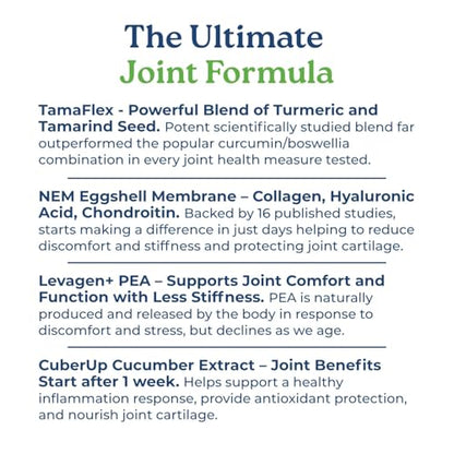 NatureCity True-Joint FLX Joint Supplement Formula (120 Capsules) | TamaFlex, NEM Eggshell Membrane, Levagen+ PEA & CuberUp | Supports Joint Comfort, Flexibility, Mobility, Function & Cartilage Health - dailyvitalstore