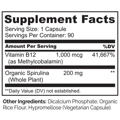 NATURELO Vegan B12 - Methyl B12 with Organic Spirulina - High Potency Vitamin B12 1000 mcg Methylcobalamin - Supports Healthy Mood - dailyvitalstore