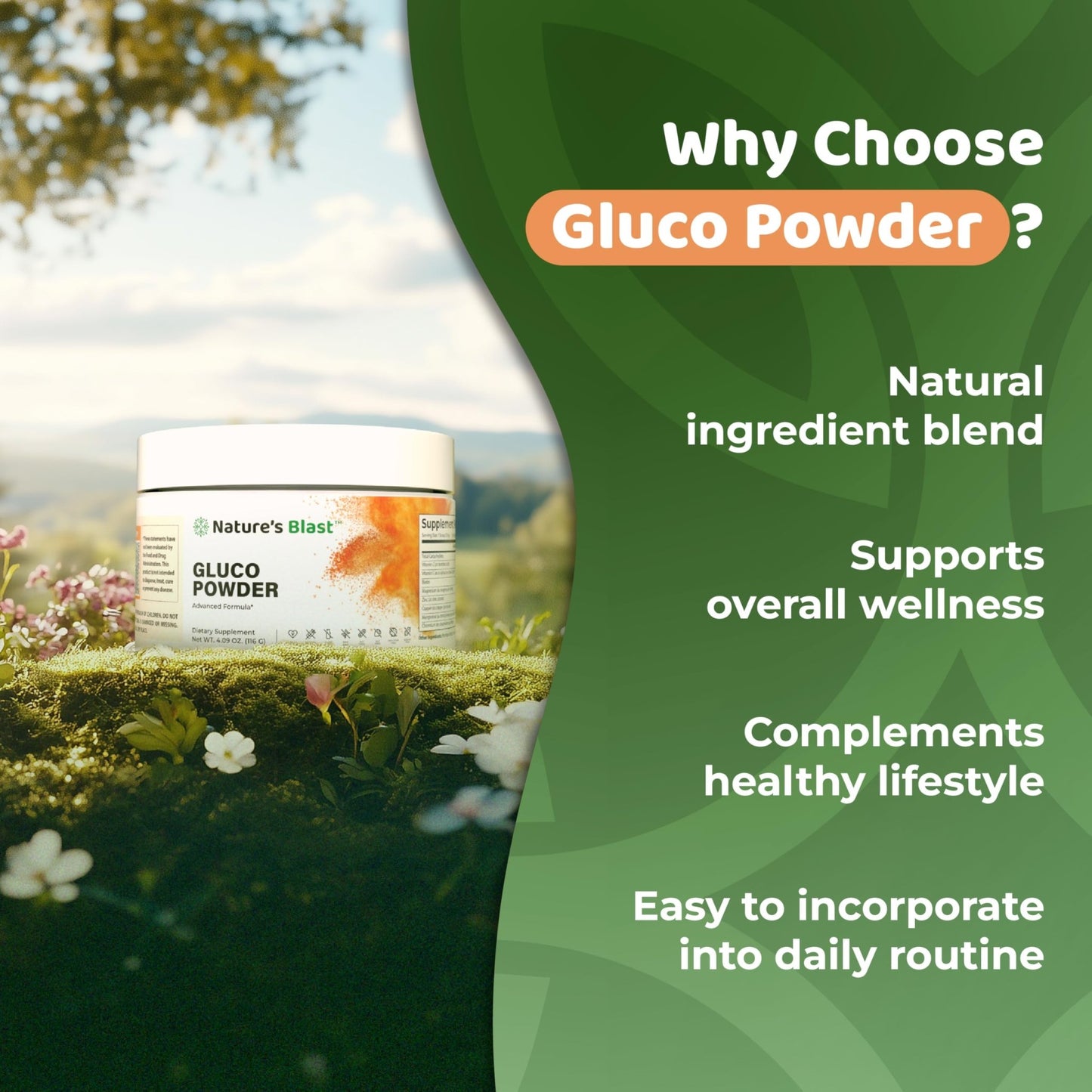 NATURES BLAST Gluco-Powder with White Mulberry Extract & Ceylon Cinnamon - Organic Metabolic Wellness Blend for Energy & Vitality, 1 Bottle - dailyvitalstore
