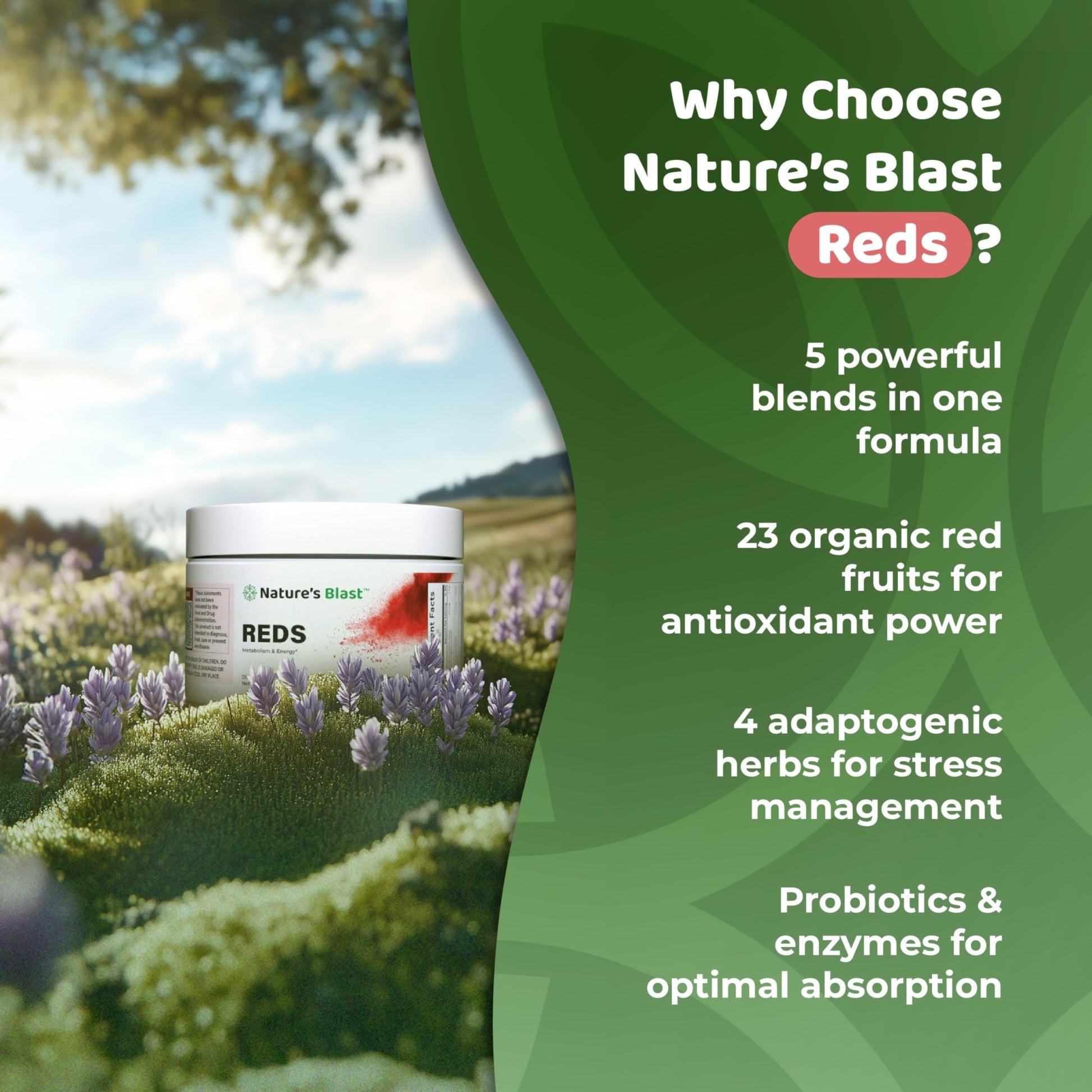 NATURES BLAST Reds - Metabolism and Energy Superfood Powder with 23 Red Fruits, 4 Adaptogens, Probiotics & Enzymes - Vegan Antioxidant Blend, 1 Bottle - dailyvitalstore