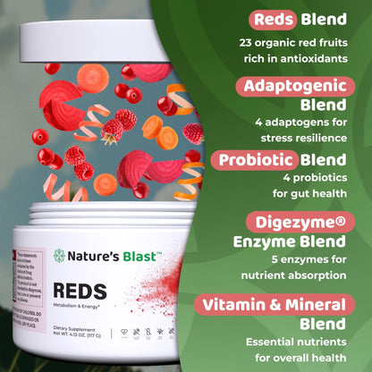 NATURES BLAST Reds - Metabolism and Energy Superfood Powder with 23 Red Fruits, 4 Adaptogens, Probiotics & Enzymes - Vegan Antioxidant Blend, 1 Bottle - dailyvitalstore