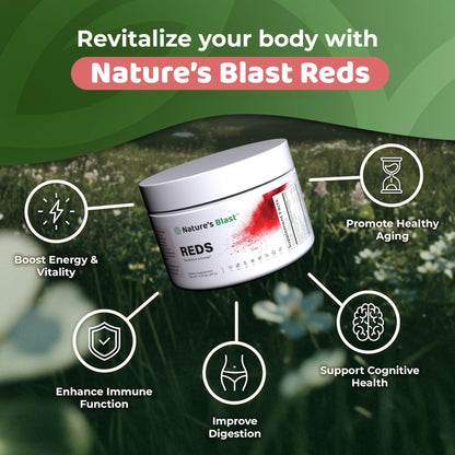 NATURES BLAST Reds - Metabolism and Energy Superfood Powder with 23 Red Fruits, 4 Adaptogens, Probiotics & Enzymes - Vegan Antioxidant Blend, 1 Bottle - dailyvitalstore