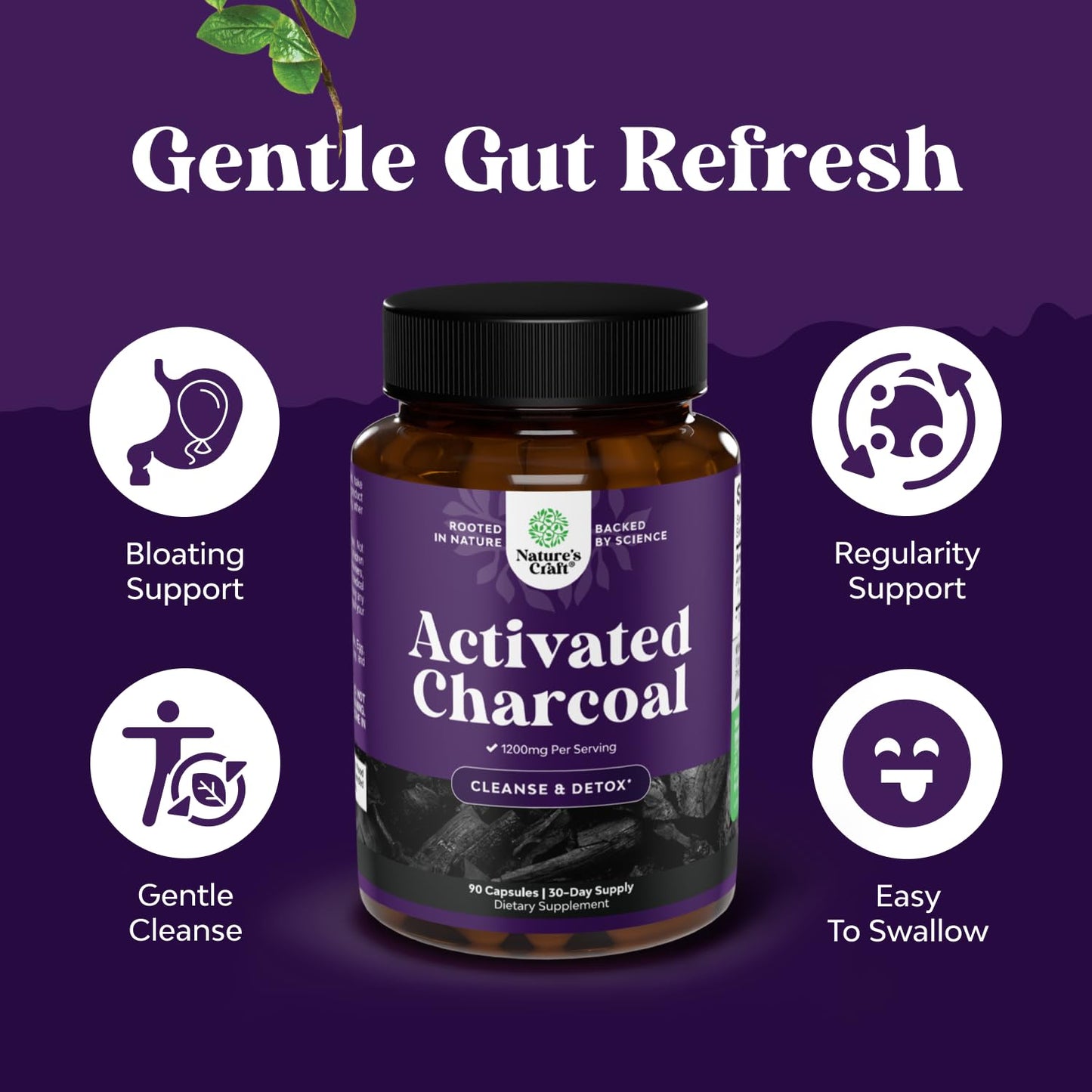 Natures Craft Activated Charcoal Pills Detox & Cleanse - Purifying Coconut Capsules with 1200 mg Per Serving for Bloating Relief - dailyvitalstore