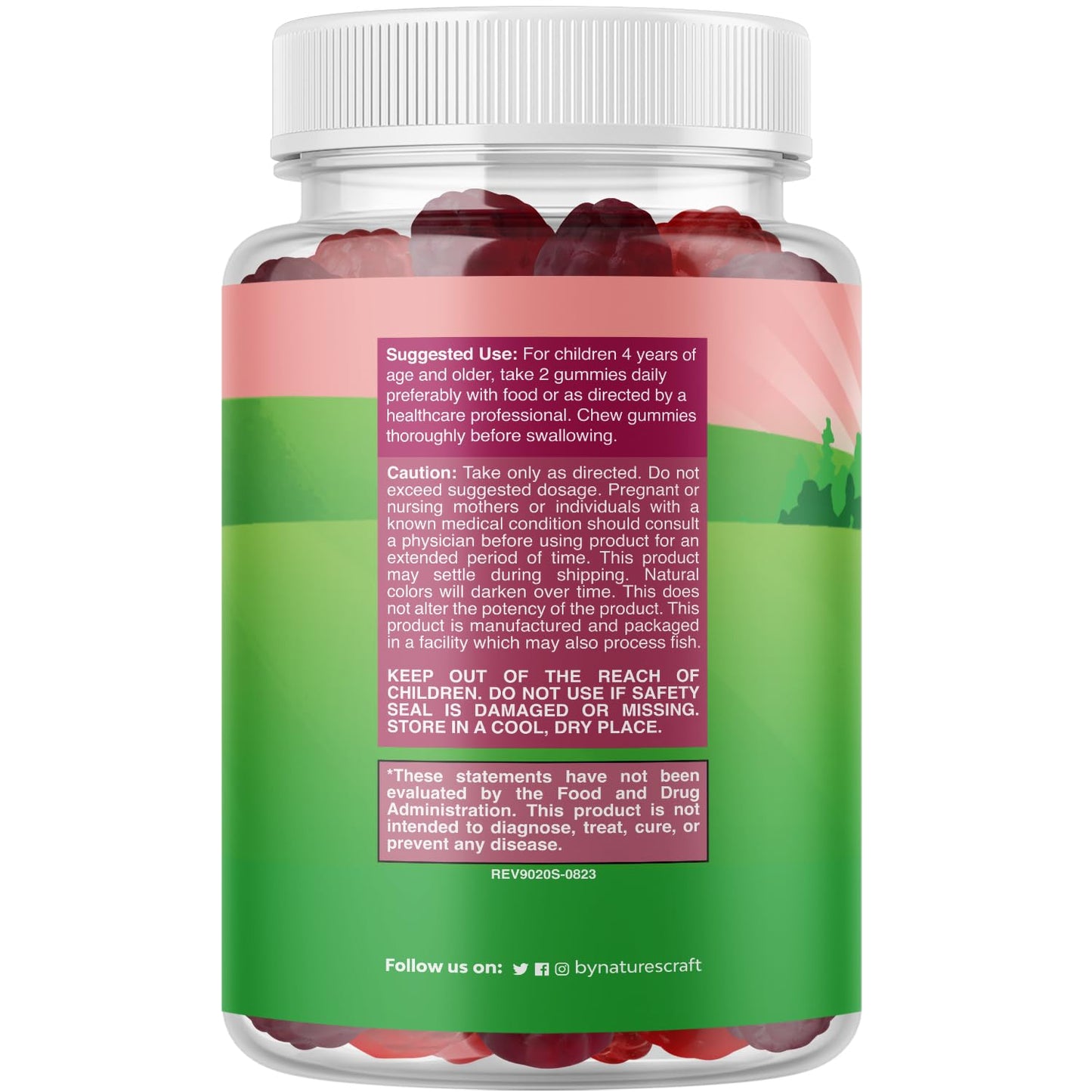 Natures Craft High Prebiotic Fiber Gummies for Kids - Dietary Fiber Supplements for Digestion & Constipation - Chicory Root Kids Immune Gummies - Non-GMO - dailyvitalstore