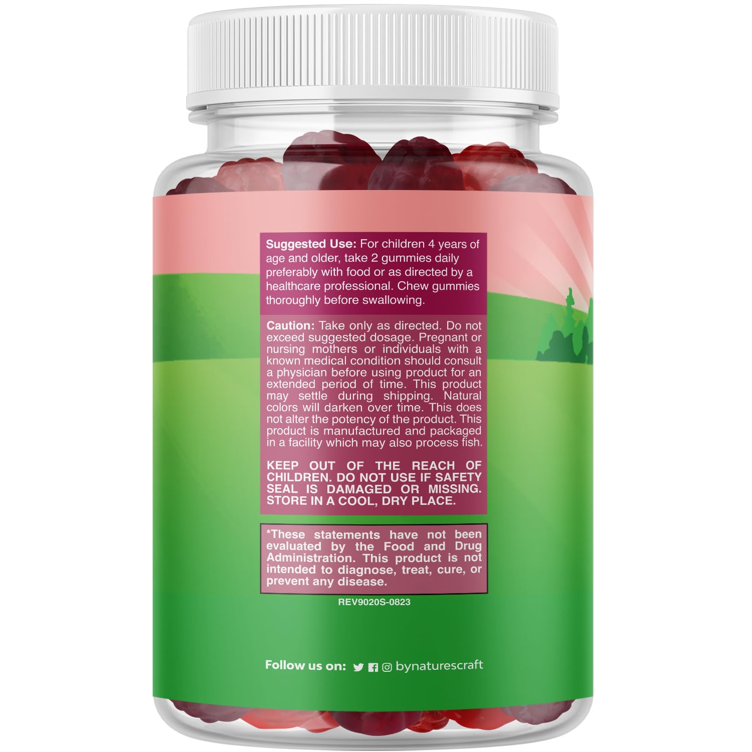 Natures Craft High Prebiotic Fiber Gummies for Kids - Dietary Fiber Supplements for Digestion & Constipation - Chicory Root Kids Immune Gummies - Non-GMO - dailyvitalstore