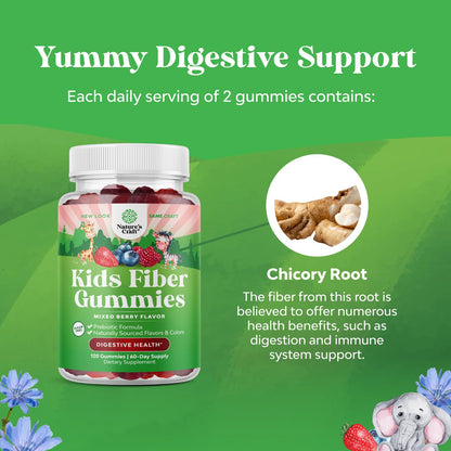Natures Craft High Prebiotic Fiber Gummies for Kids - Dietary Fiber Supplements for Digestion & Constipation - Chicory Root Kids Immune Gummies - Non-GMO - dailyvitalstore