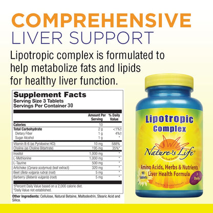 Nature's Life Lipotropic Complex | Comprehensive Support for Healthy Liver Function | with Choline & Inositol | Non-GMO | 90 Vegetarian Tablets - dailyvitalstore