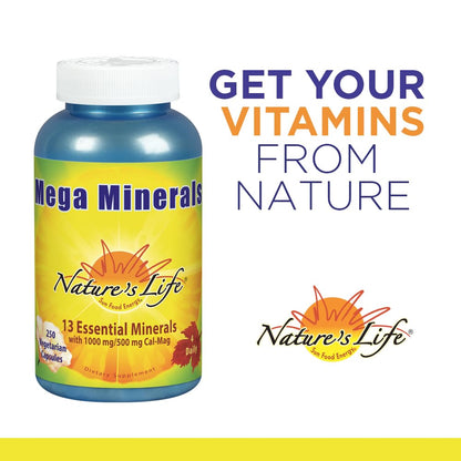 Nature's Life Mega Minerals Complex | Complete Multi Mineral + Vitamin D Supplement | 250 Vegetarian Capsules - dailyvitalstore