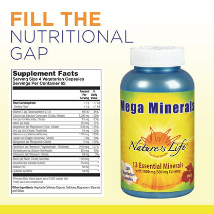 Nature's Life Mega Minerals Complex | Complete Multi Mineral + Vitamin D Supplement | 250 Vegetarian Capsules - dailyvitalstore