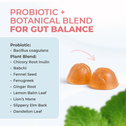 Nature’s NutriWave PrimeBiome Probiotic Gummies – Plant-Based Blend with Inulin, Lion’s Mane, Ginger & More– Non-GMO, No Stimulants, GMP Certified – 30 Gummies, 3 Month Supply - dailyvitalstore