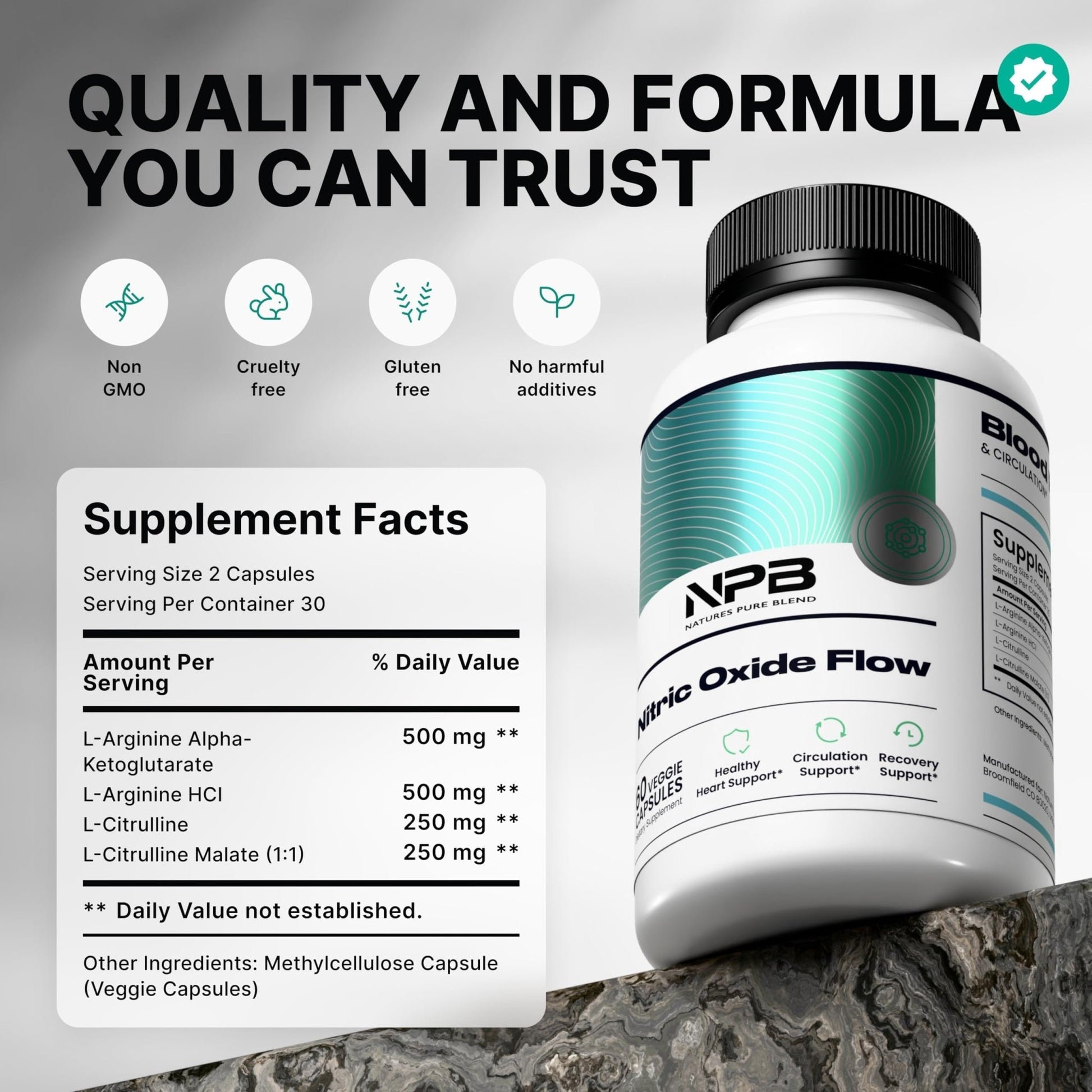 Nature's Pure Blend Nitric Oxide Supplements for Men – L-Arginine L-Citrulline – Heart Support & Flow Circulation Booster – 1500MG L Arginine and L Citrulline, Preworkout, Bodybuilding - dailyvitalstore