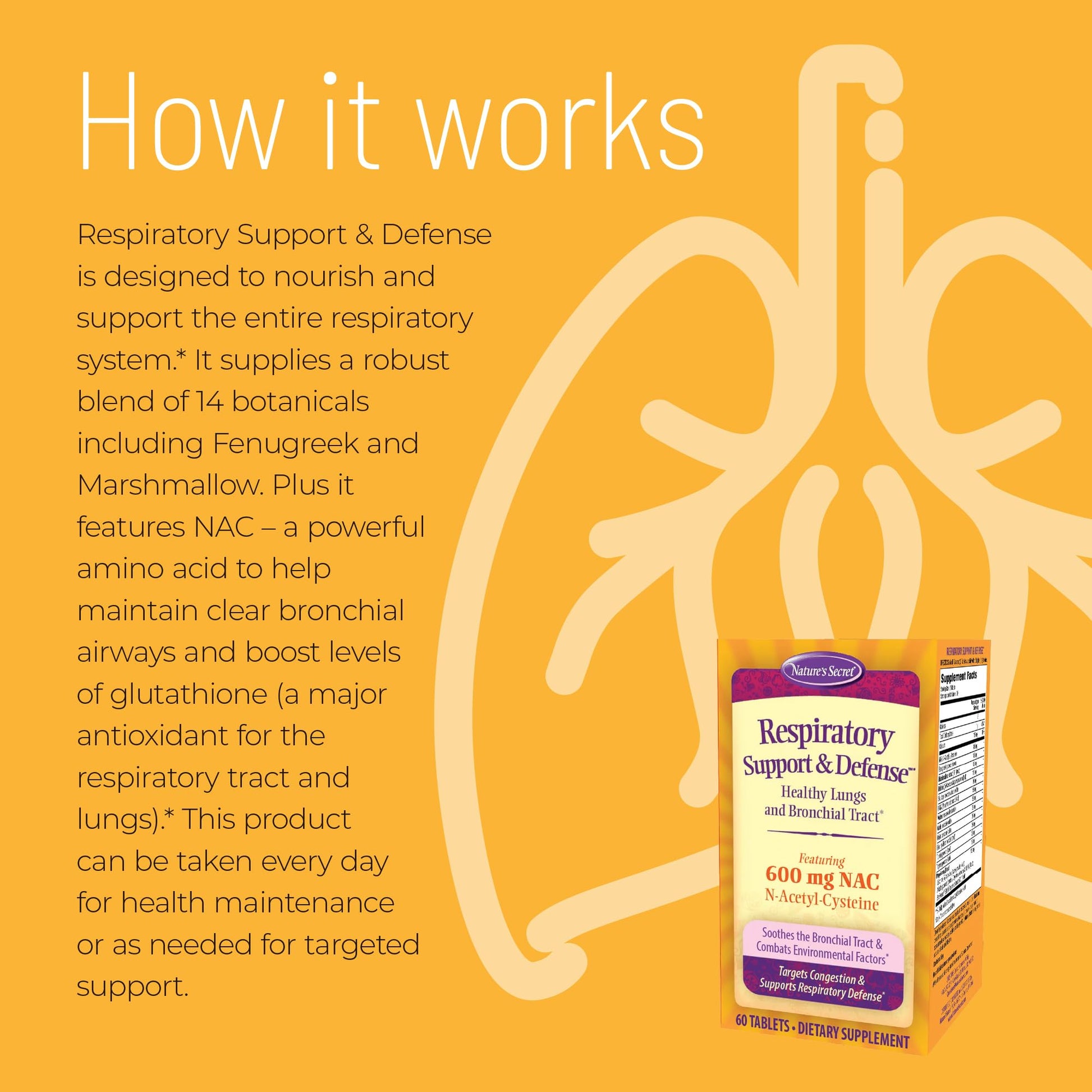 Nature's Secret Respiratory Support & Defense - 60 Tablets - Promotes Healthy Lungs & Bronchial Tract - With NAC, Fenugreek & Marshmallow - 30 Total Servings - dailyvitalstore