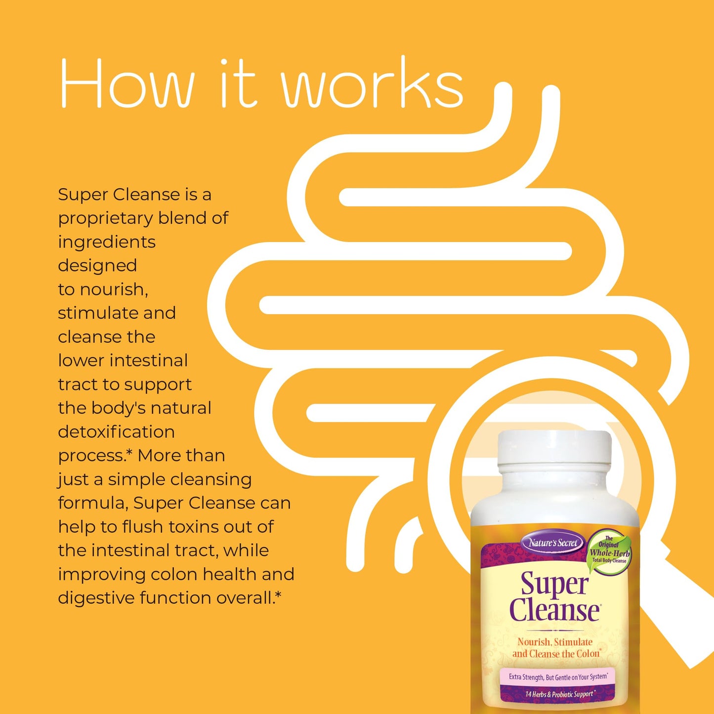 Nature’s Secret Super Cleanse - Extra Strength Colon Cleanse with 14 Herbs & Probiotic Support - Promotes Gut Health Detox Cleanse & Digestive Support - dailyvitalstore