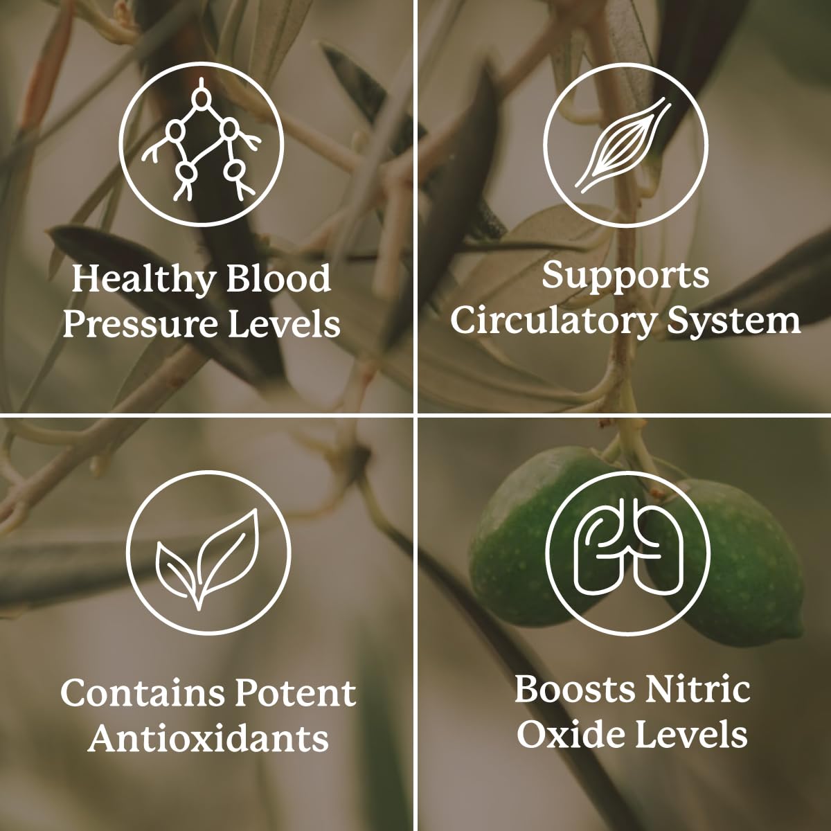 Nature's Sunshine Blood Pressurex 60 Capsules - dailyvitalstore