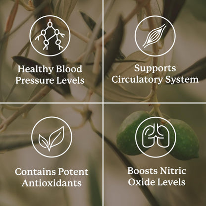 Nature's Sunshine Blood Pressurex 60 Capsules - dailyvitalstore