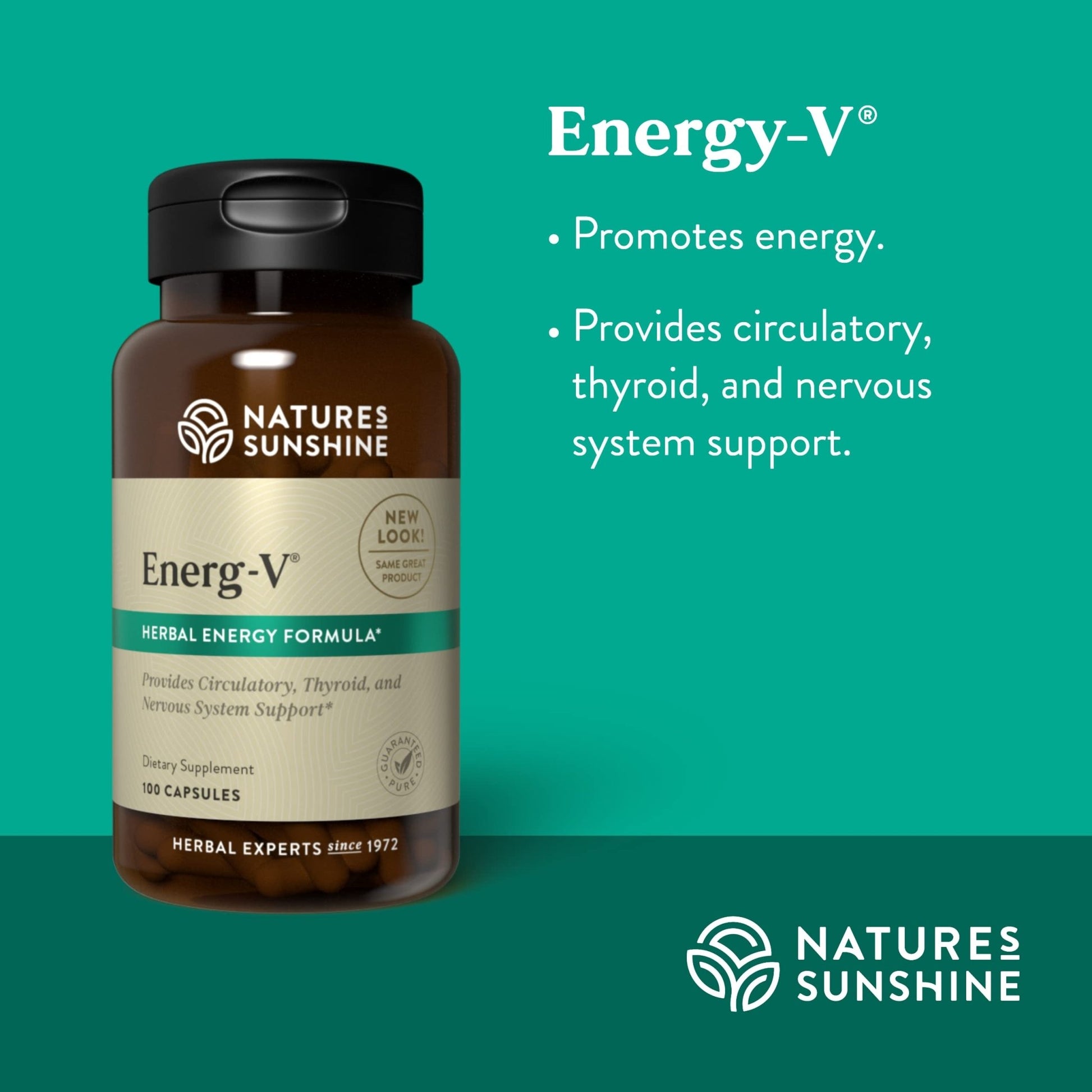 Nature's Sunshine Energ-V - Herbal Blend to Support Energy Levels (100 Capsules) - dailyvitalstore