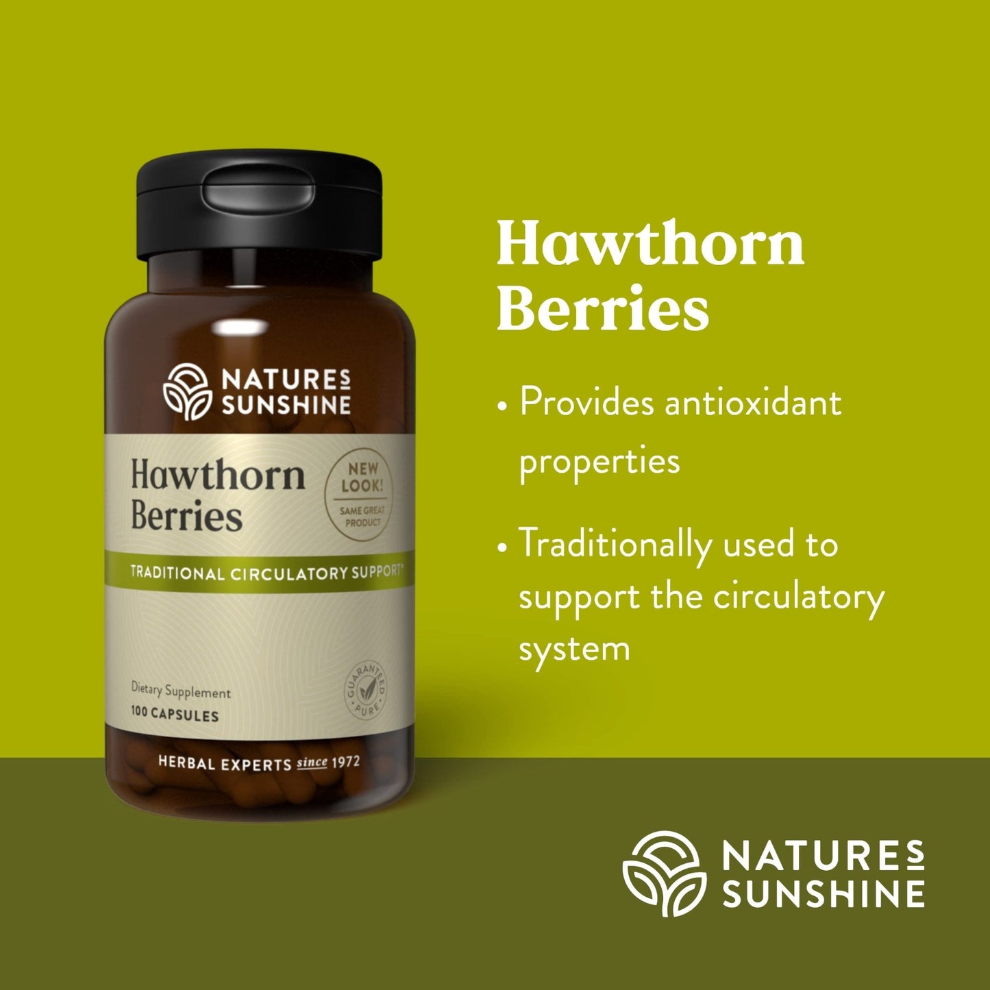 Nature's Sunshine Hawthorn Berries, 100 Capsules | Helps Enhance Heart Muscle Function and Provides Circulatory System Support - dailyvitalstore