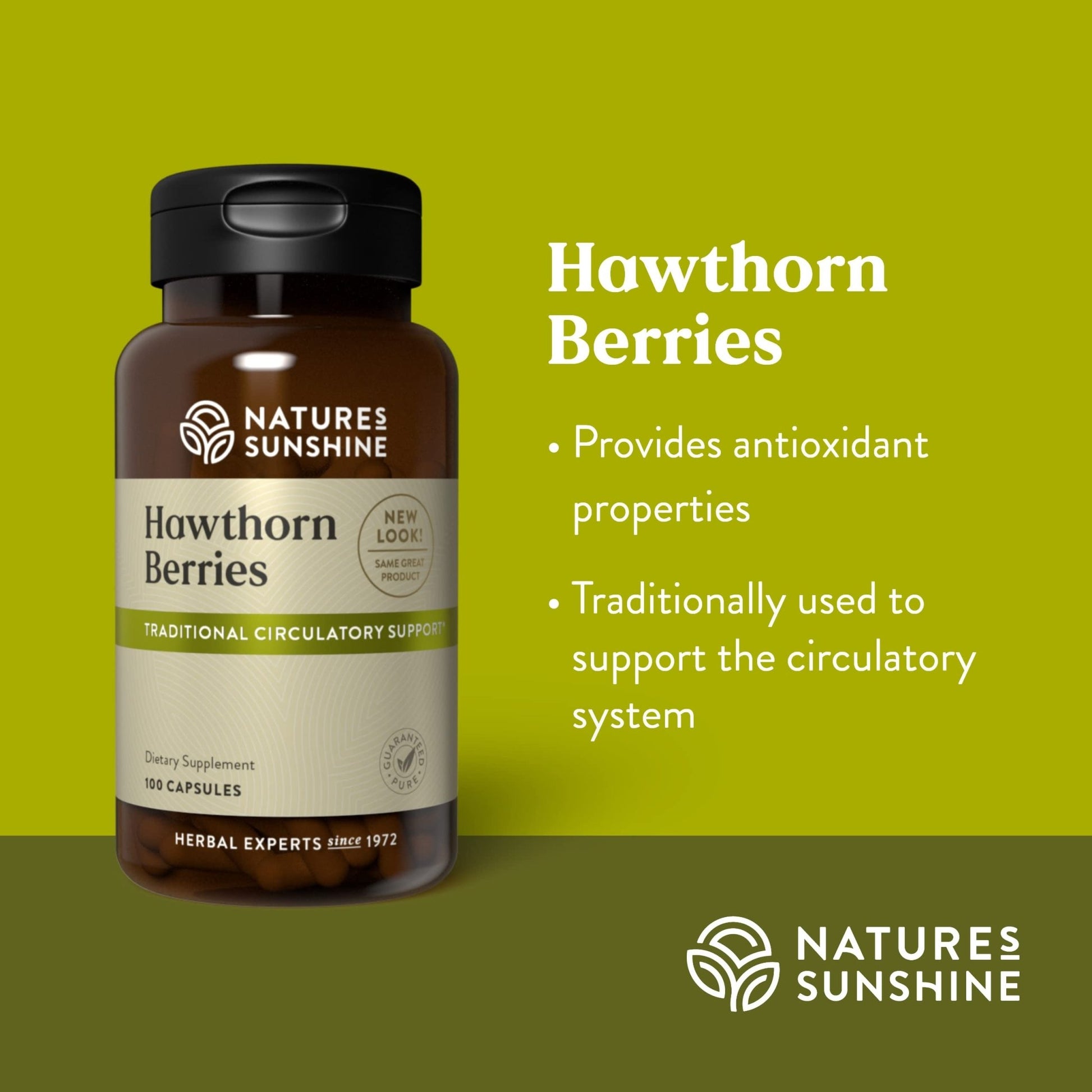 Nature's Sunshine Hawthorn Berries, 100 Capsules | Helps Enhance Heart Muscle Function and Provides Circulatory System Support - dailyvitalstore