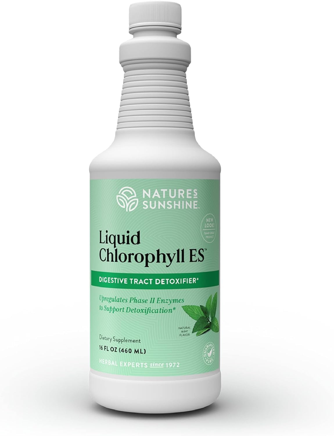 Nature's Sunshine Liquid Chlorophyll Extra Strength - Immunity Support, Detox & Cleanse, Chlorophyll Liquid Drops with Spearmint Oil, - dailyvitalstore