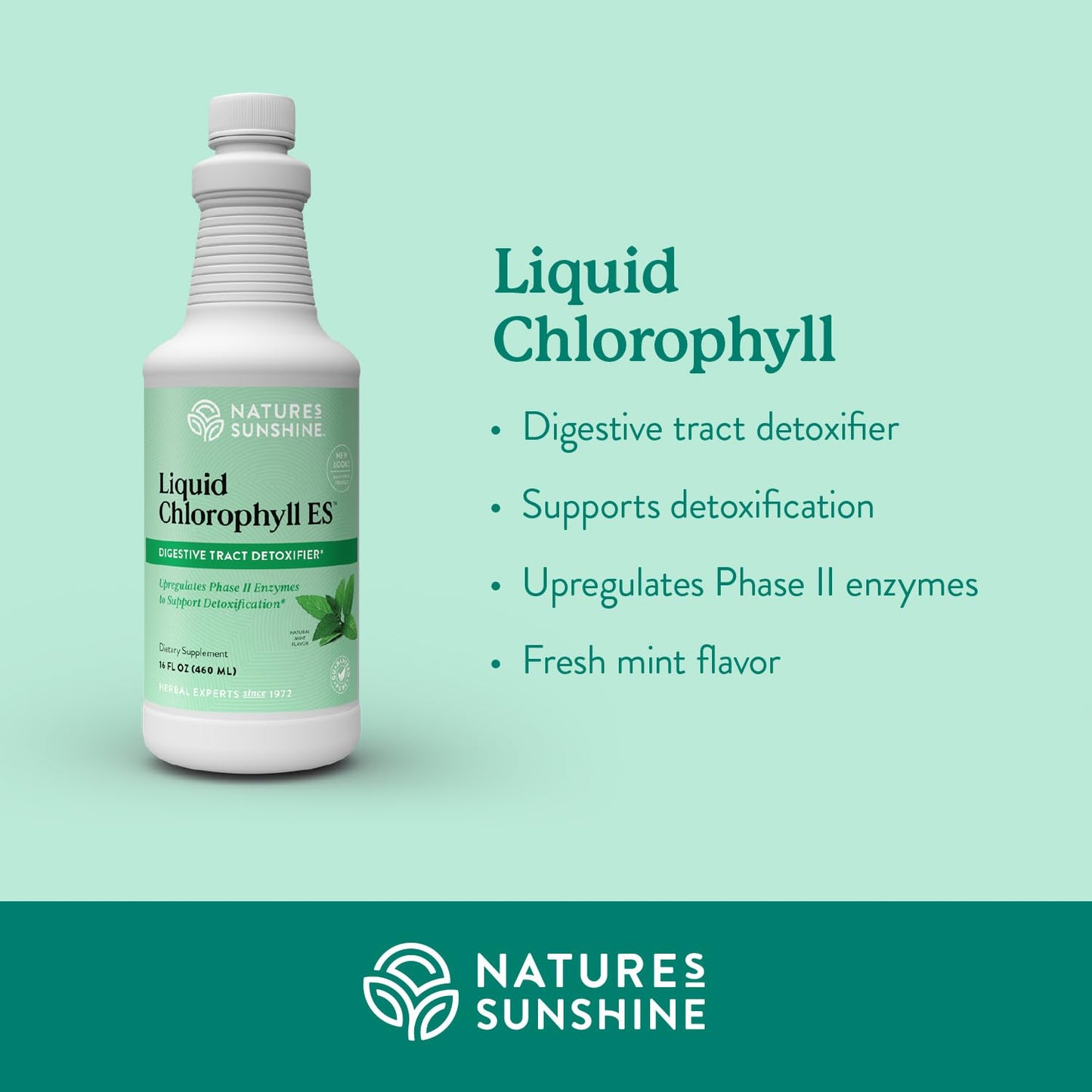 Nature's Sunshine Liquid Chlorophyll Extra Strength - Immunity Support, Detox & Cleanse, Chlorophyll Liquid Drops with Spearmint Oil, - dailyvitalstore