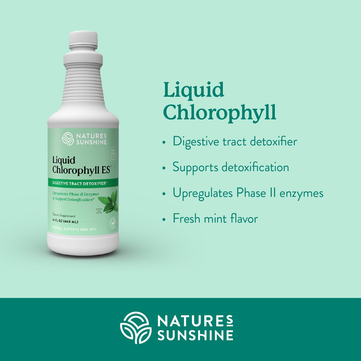 Nature's Sunshine Liquid Chlorophyll Extra Strength - Immunity Support, Detox & Cleanse, Chlorophyll Liquid Drops with Spearmint Oil, - dailyvitalstore