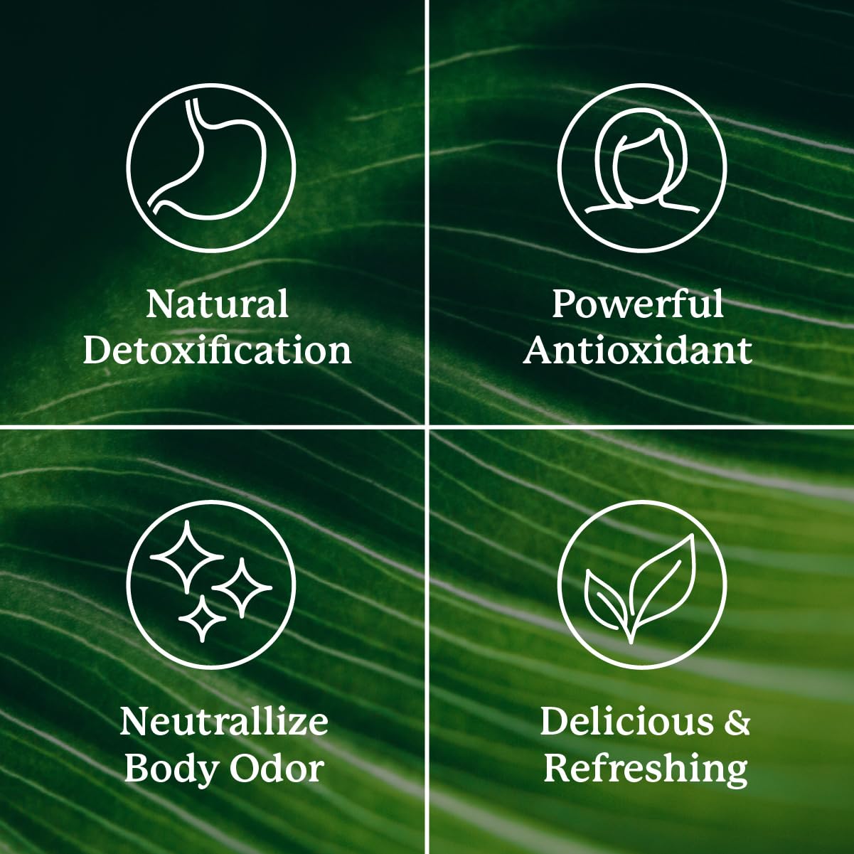 Nature's Sunshine Liquid Chlorophyll Extra Strength - Immunity Support, Detox & Cleanse, Chlorophyll Liquid Drops with Spearmint Oil, - dailyvitalstore