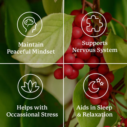 Nature's Sunshine Nutri-Calm- Herbal Stress Relief Supplement for Natural Relief, Mood Support and Boost, Nervous System Support - 100 Count - dailyvitalstore
