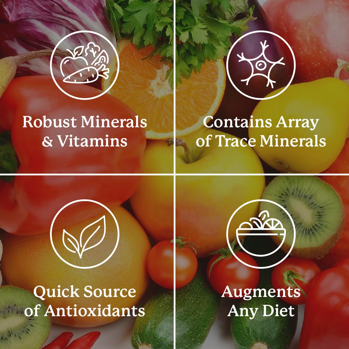 Nature's Sunshine Super Supplemental: Complete Multivitamin with Minerals, Antioxidants & More for Nutritional Gaps, Overall Health, Immune & Energy Support. 120 Tabs - dailyvitalstore