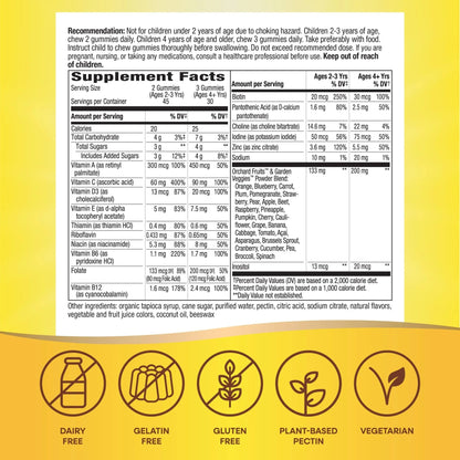 Nature's Way Alive! Children's Premium Gummy Multivitamin, Gluten Free, Made with Pectin, 90 Gummies - dailyvitalstore