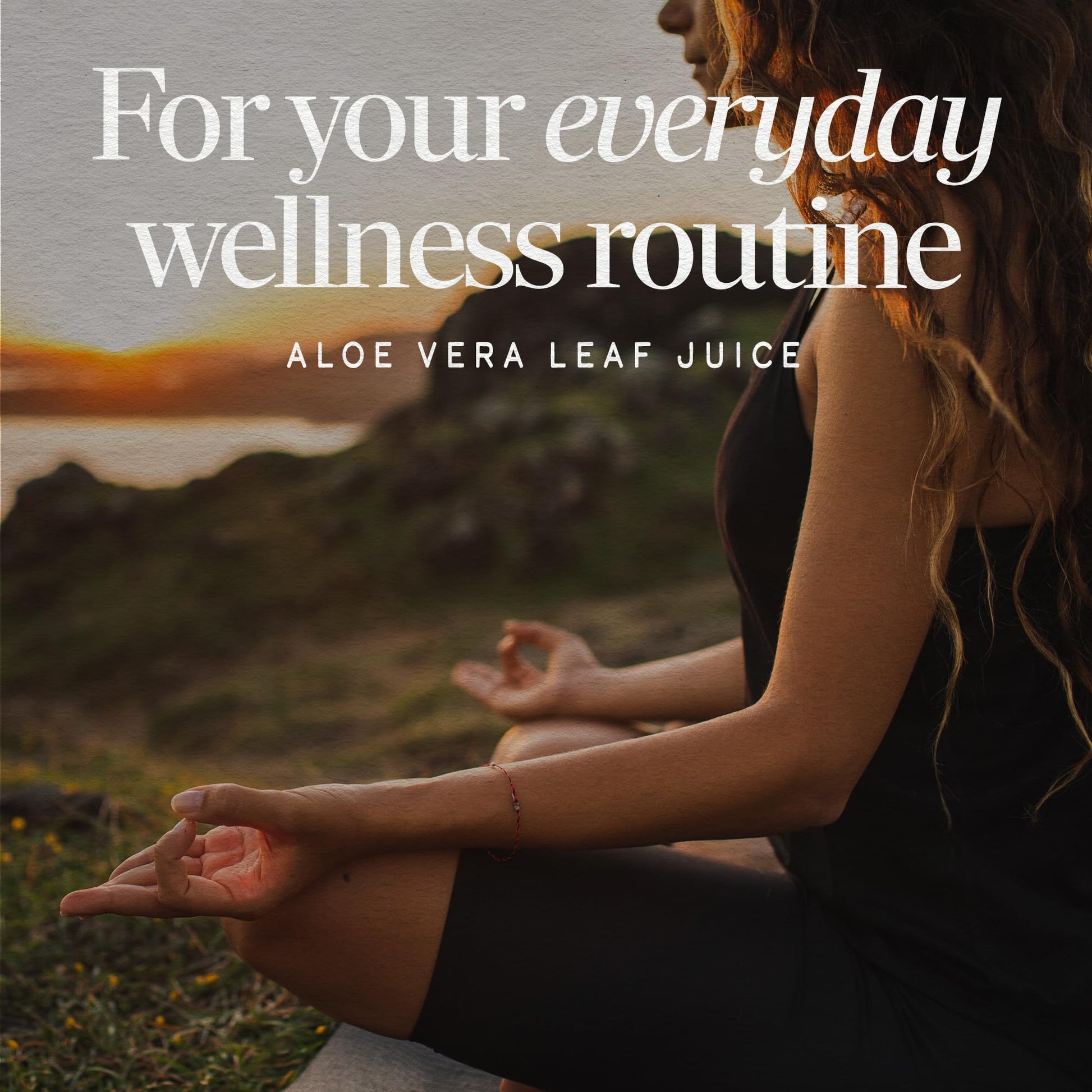 Nature’s Way Aloe Vera Leaf Juice, Flavorless Juice 99.5% Purified from Concentrate, Certified by The International Aloe Science Council, - dailyvitalstore