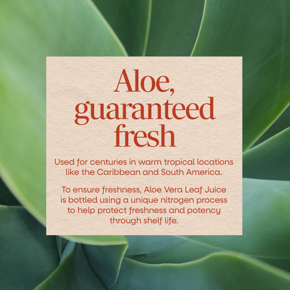 Nature’s Way Aloe Vera Leaf Juice, Flavorless Juice 99.5% Purified from Concentrate, Certified by The International Aloe Science Council, - dailyvitalstore