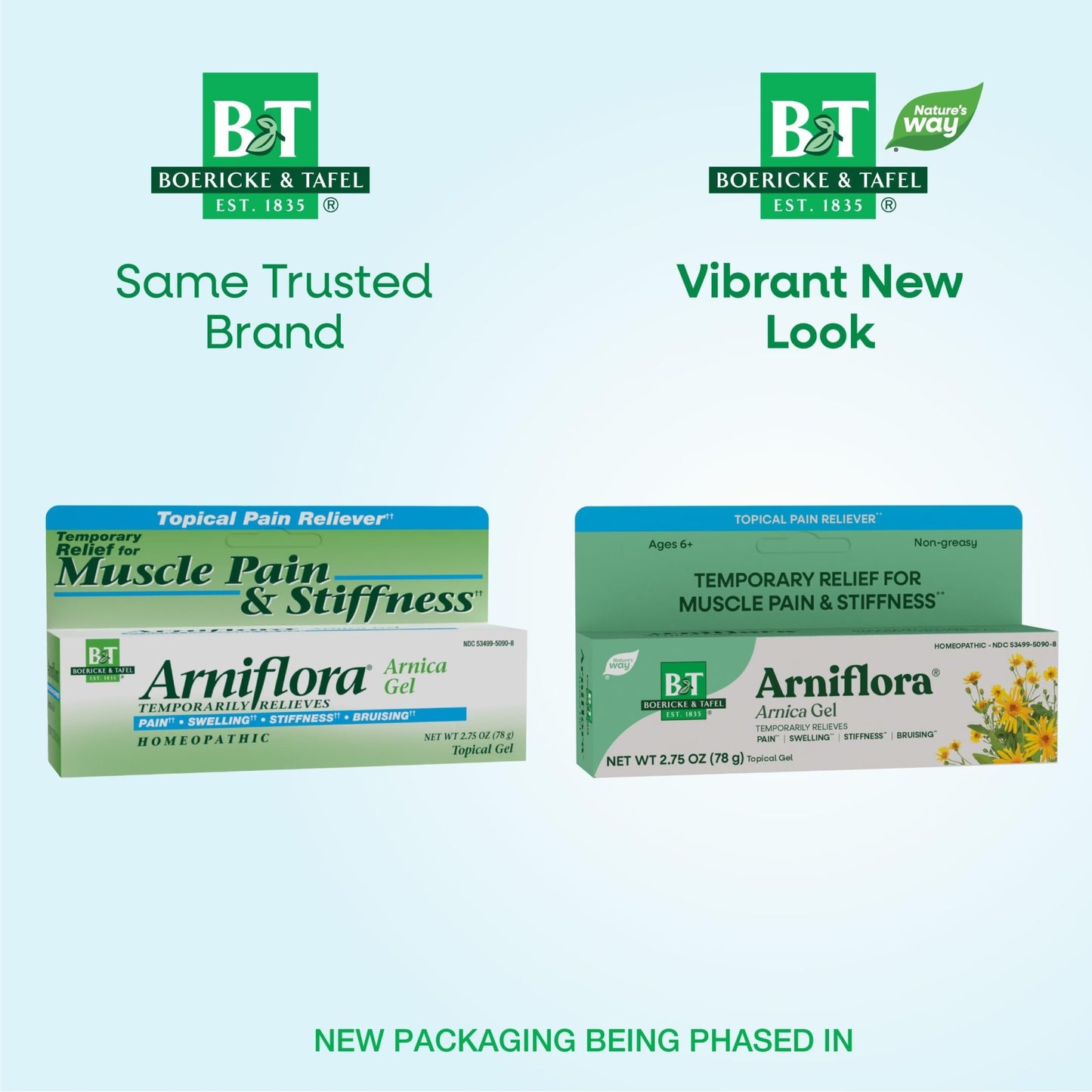 Nature's Way Boericke & Tafel Arniflora Arnica Gel, Temporarily Relieves Pain*, Swelling*, Stiffness*, 2.75 Oz (Packaging May Vary) - dailyvitalstore