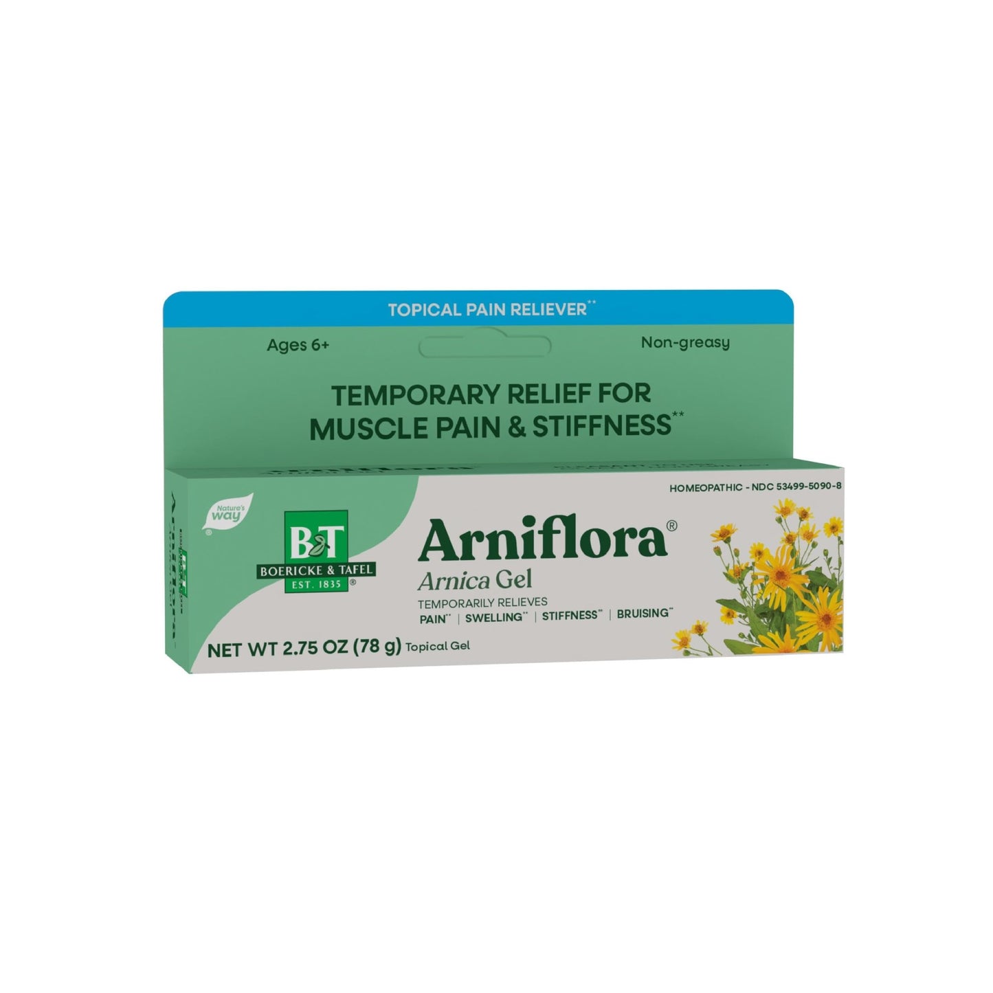 Nature's Way Boericke & Tafel Arniflora Arnica Gel, Temporarily Relieves Pain*, Swelling*, Stiffness*, 2.75 Oz (Packaging May Vary) - dailyvitalstore