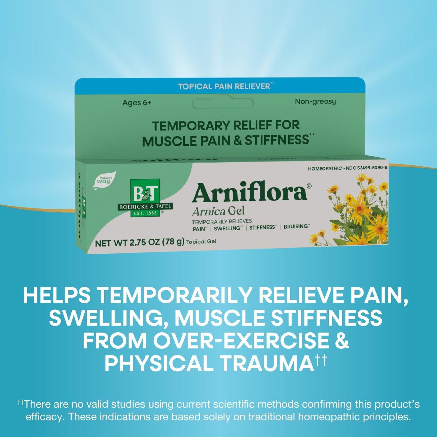 Nature's Way Boericke & Tafel Arniflora Arnica Gel, Temporarily Relieves Pain*, Swelling*, Stiffness*, 2.75 Oz (Packaging May Vary) - dailyvitalstore