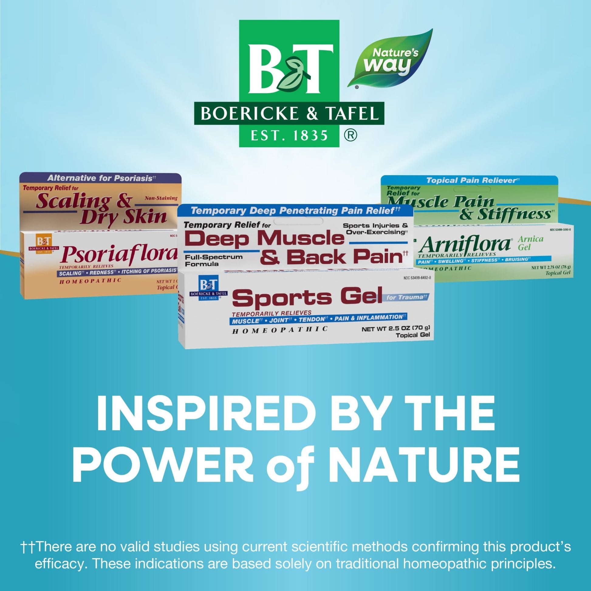 Nature's Way Boericke & Tafel Sports Gel, Relief for Deep Muscle, Joint, Tendon, & Back Pain and Inflammation, Homeopathic, 2.5 oz - dailyvitalstore