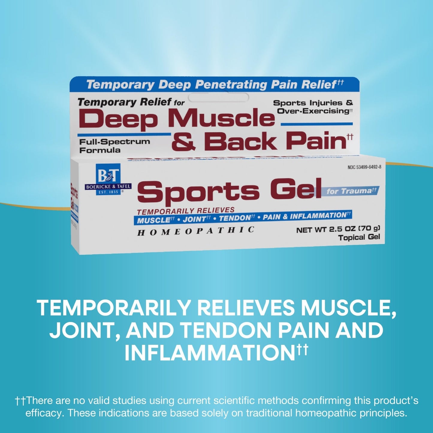Nature's Way Boericke & Tafel Sports Gel, Relief for Deep Muscle, Joint, Tendon, & Back Pain and Inflammation, Homeopathic, 2.5 oz - dailyvitalstore