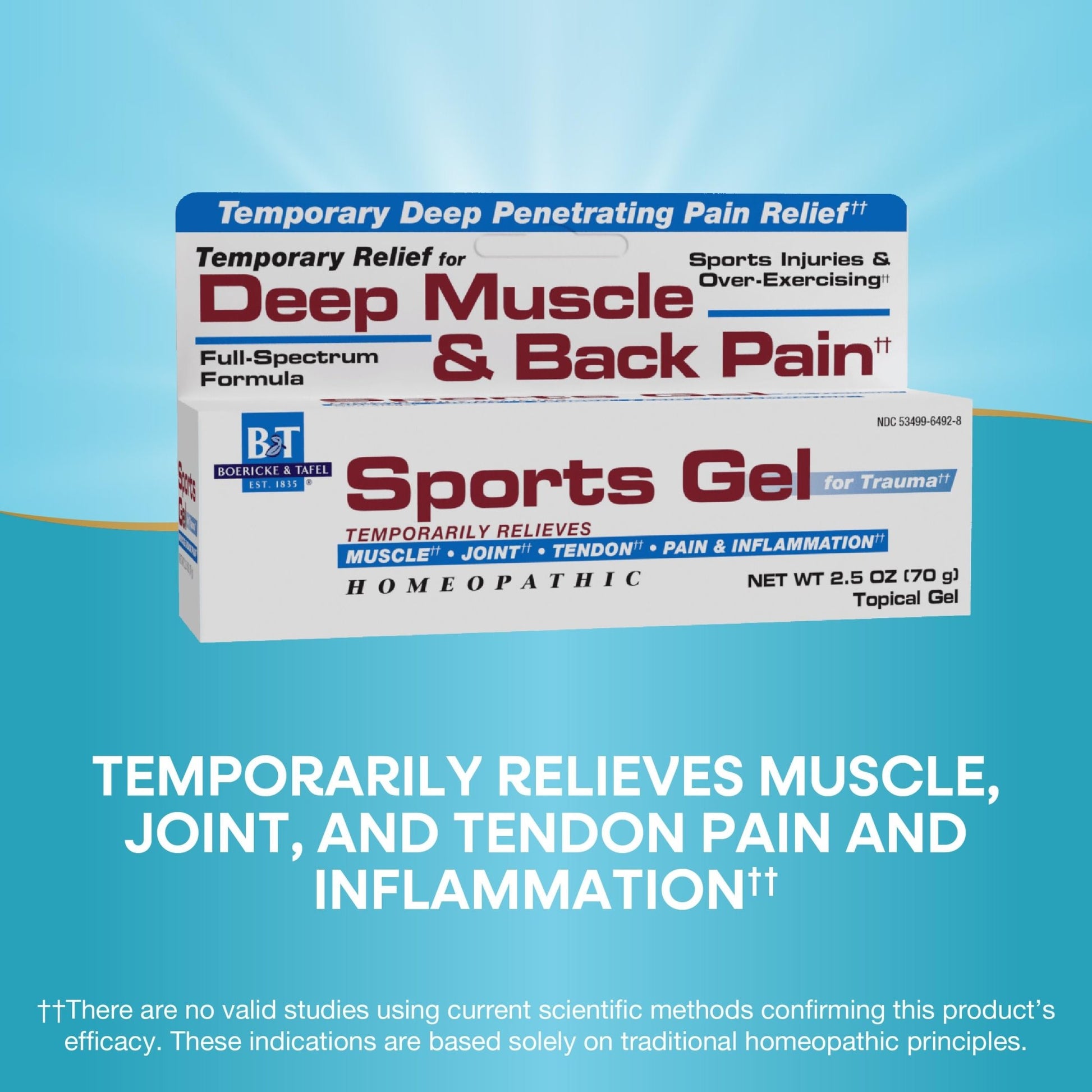 Nature's Way Boericke & Tafel Sports Gel, Relief for Deep Muscle, Joint, Tendon, & Back Pain and Inflammation, Homeopathic, 2.5 oz - dailyvitalstore