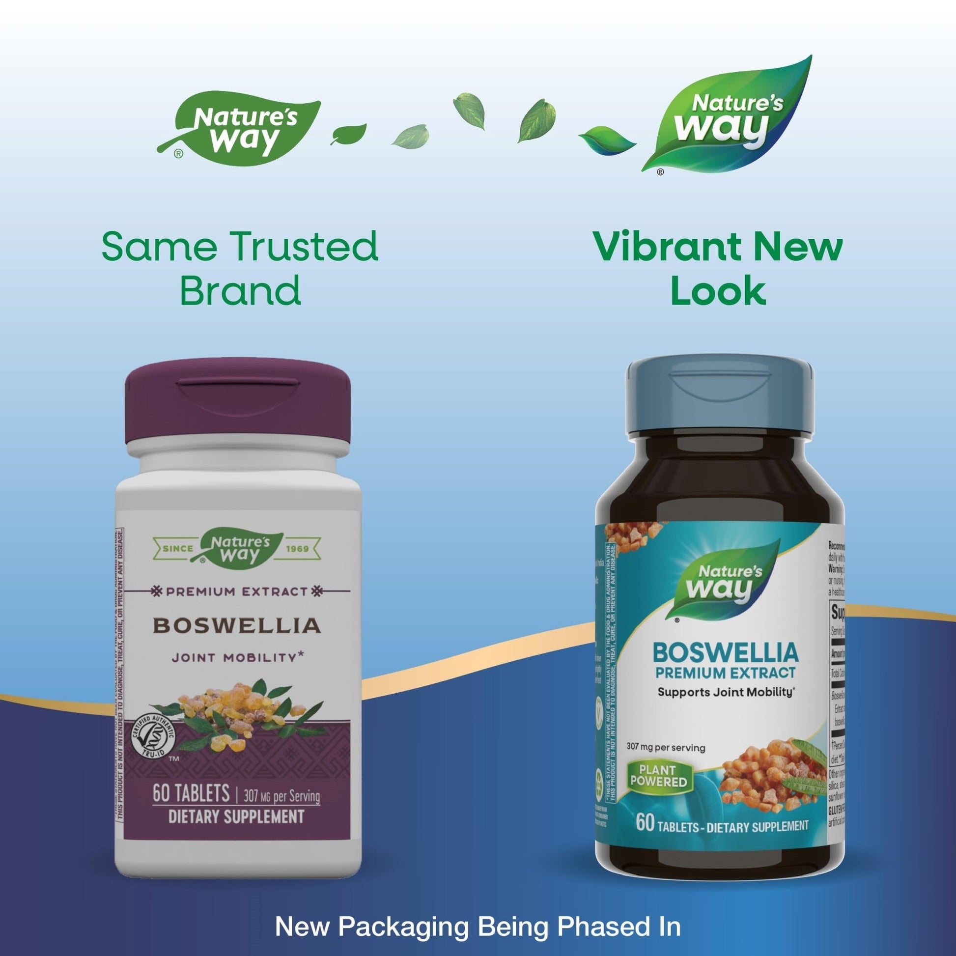 Nature's Way Boswellia Premium Extract, Supports Joint Mobility*, 307 mg Boswellia serrata Extract per Serving, Frankincense Supplement, Gluten Free & Vegan - 60 Tablets (Packaging May Vary) - 2 Pack - dailyvitalstore