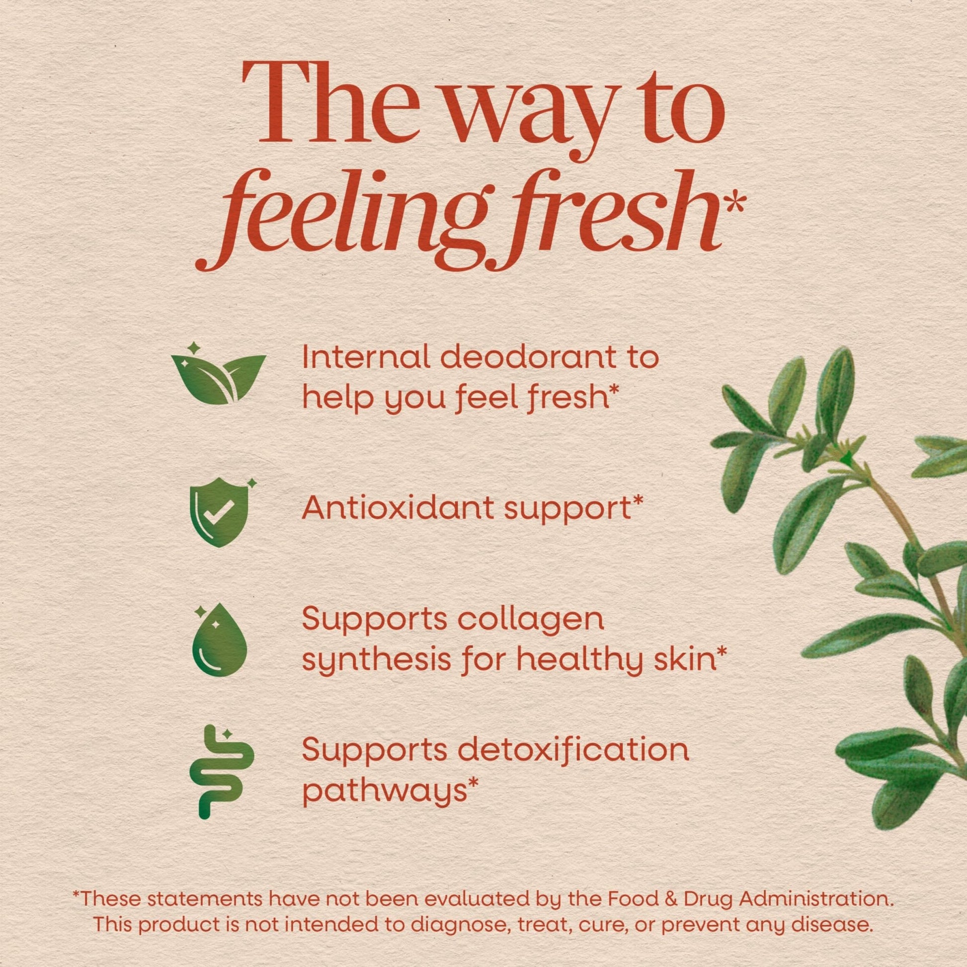 Nature's Way Chlorofresh Liquid Chlorophyll, Chlorophyllin Copper Complex, Internal Deodorant Supplement, Supports Healthy - dailyvitalstore