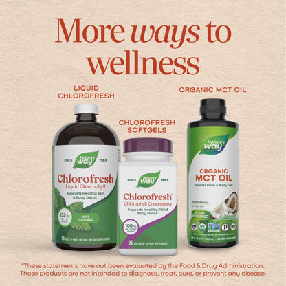 Nature's Way Chlorofresh Liquid Chlorophyll, Chlorophyllin Copper Complex, Internal Deodorant Supplement, Supports Healthy - dailyvitalstore