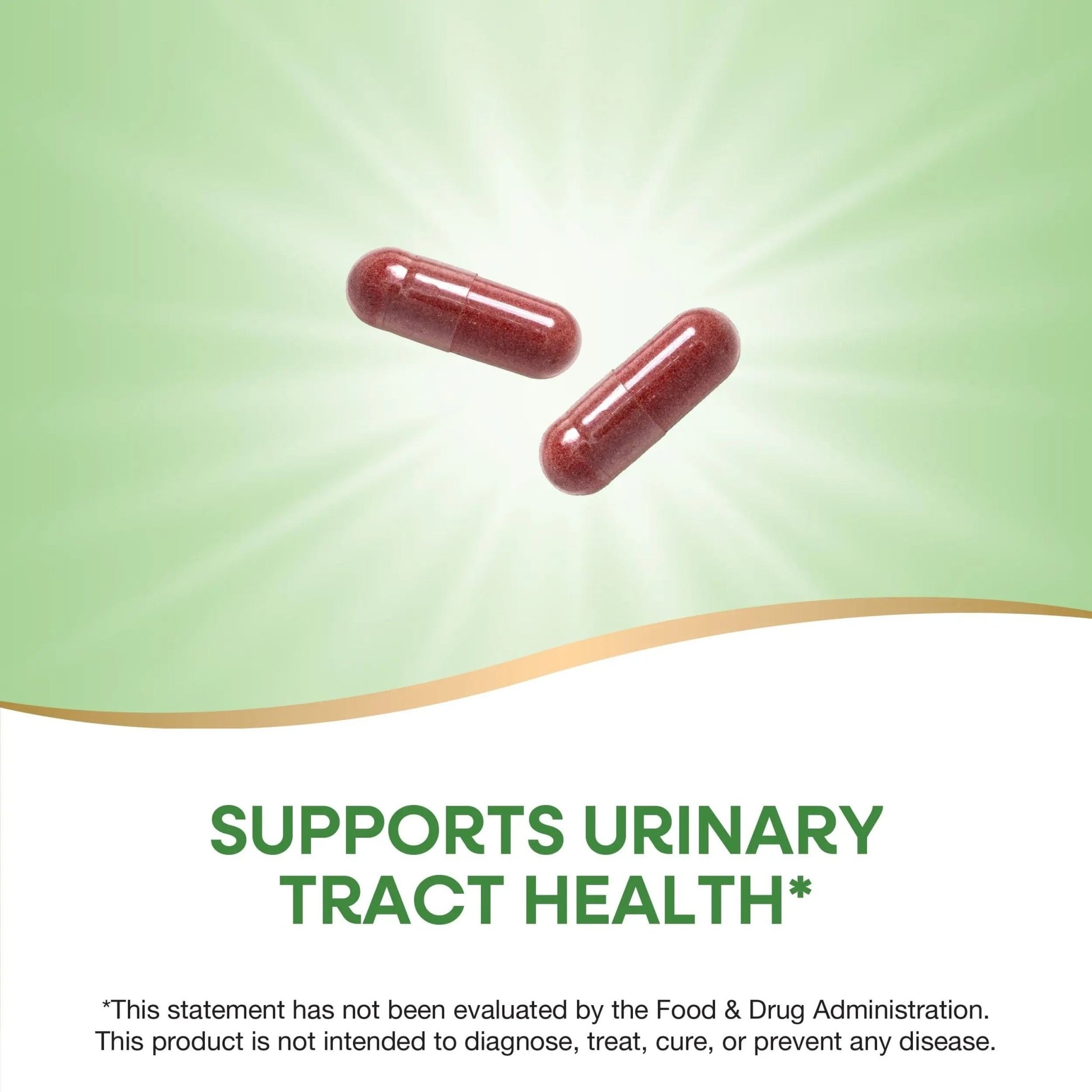 Nature's Way Cranberry Fruit, Cranberry Supplements, Supports Urinary Tract Health*, 930 mg per 2-Capsule Serving, 180 Capsules (Packaging May Vary) - dailyvitalstore