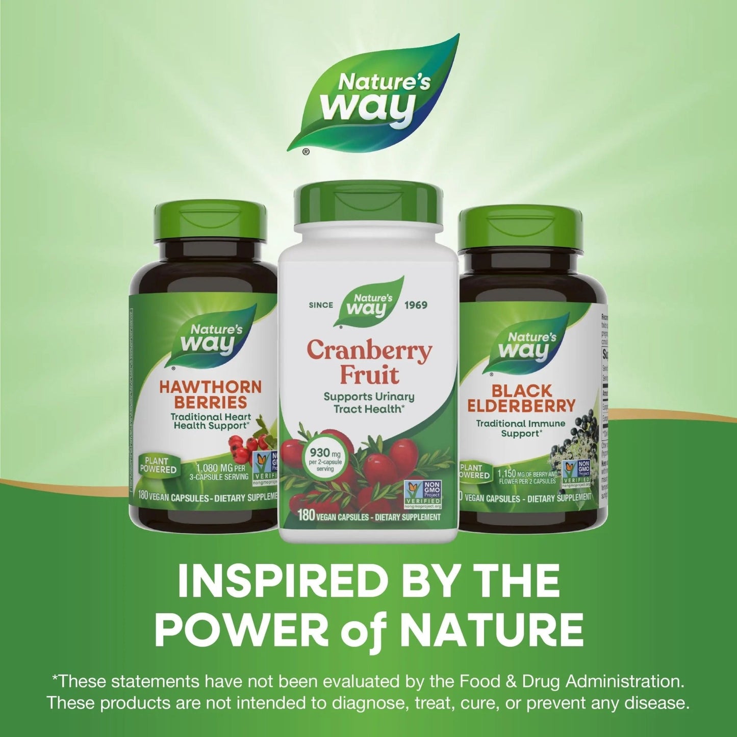 Nature's Way Cranberry Fruit, Cranberry Supplements, Supports Urinary Tract Health*, 930 mg per 2-Capsule Serving, 180 Capsules (Packaging May Vary) - dailyvitalstore