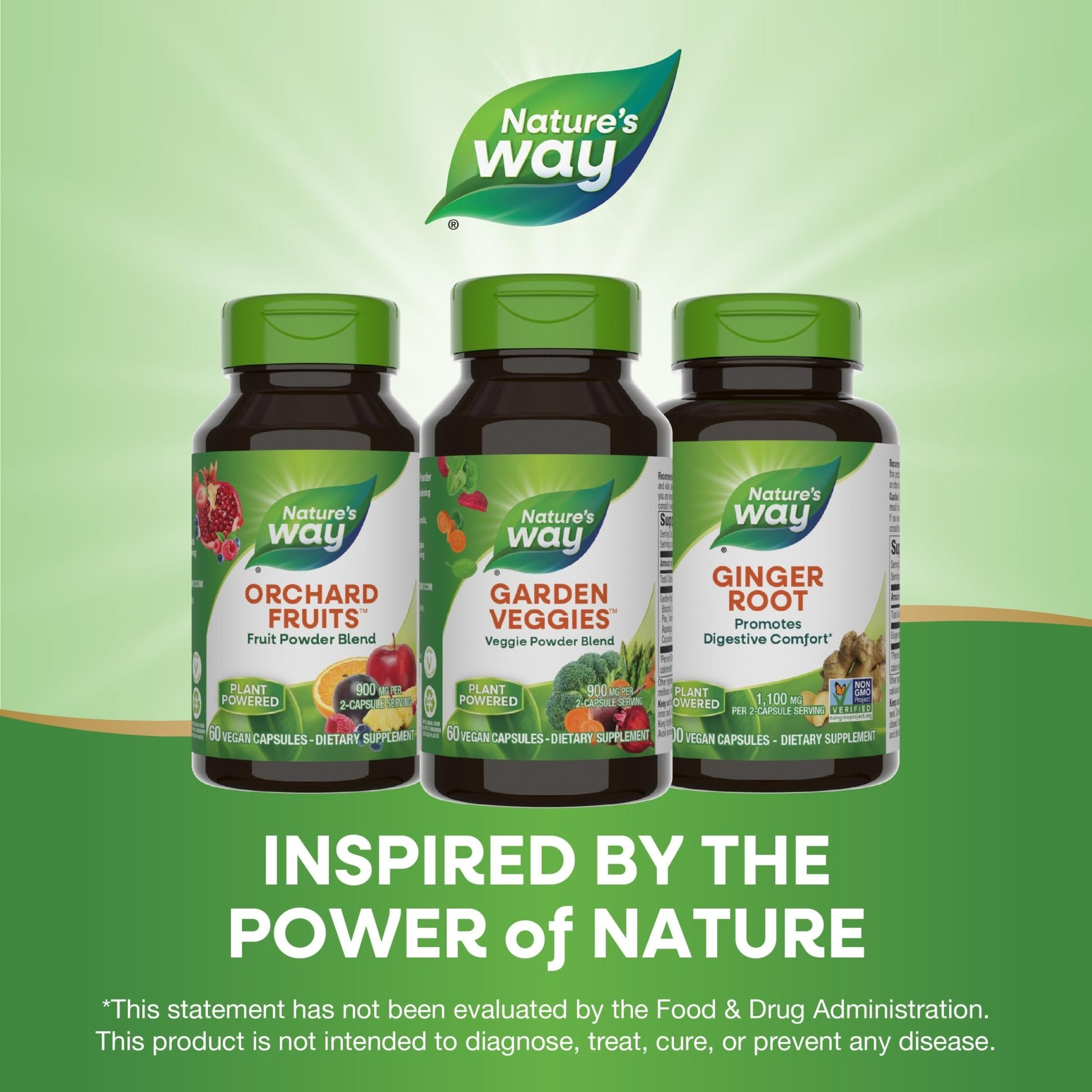Nature’s Way Garden Veggies, Vegetable Supplement Capsules, Plant-Powered Powder Blend Made with 12 Different Vegetables, Green Superfood Veggie Blend - dailyvitalstore