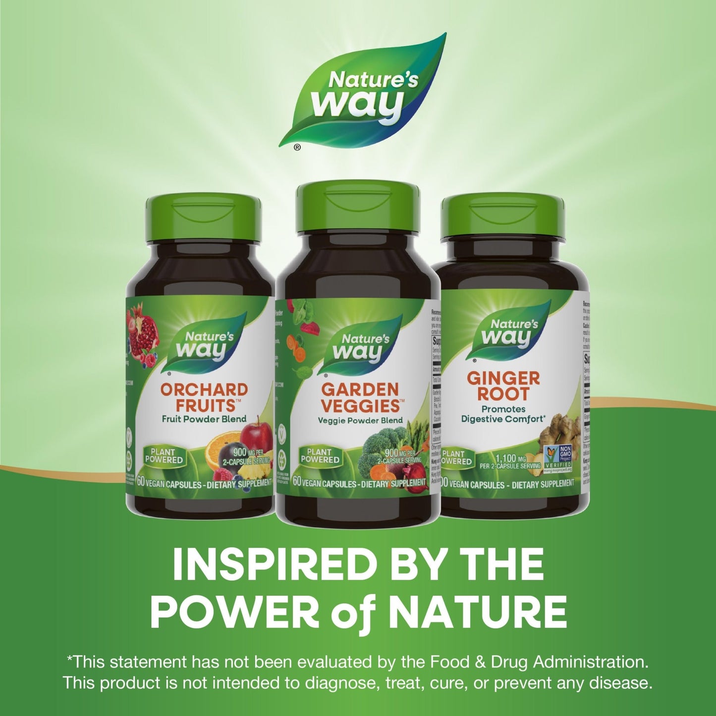 Nature's Way Garden Veggies, Veggie Powder Blend, 900 mg per 2-Capsule Serving, 60 Vegan Capsules - dailyvitalstore